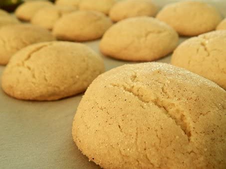 Wisconsin's Best Snickerdoodle Cookie Mix, 16 oz. (Pack of 2) A Great Gift for Mother's Day!
